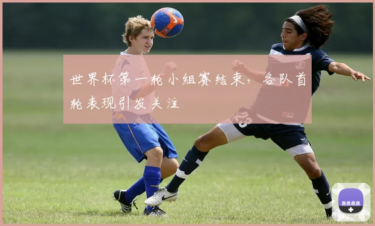 世界杯第一轮小组赛结束,各队首轮表现引发关注