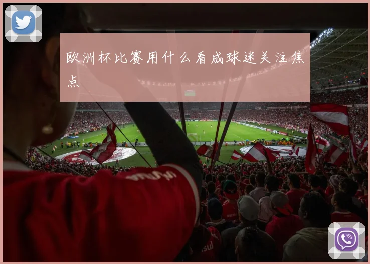 欧洲杯比赛用什么看成球迷关注焦点
