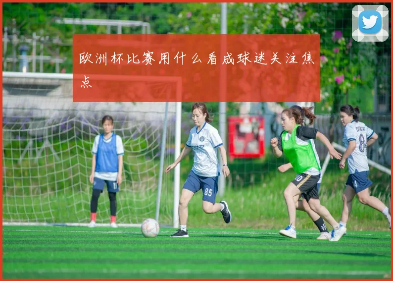 欧洲杯比赛用什么看成球迷关注焦点