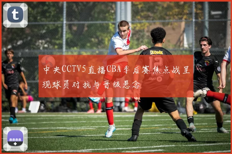 中央CCTV5直播CBA季后赛焦点战呈现球员对抗与晋级悬念
