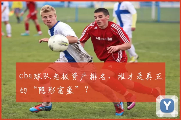 cba球队老板资产排名，谁才是真正的“隐形富豪”？